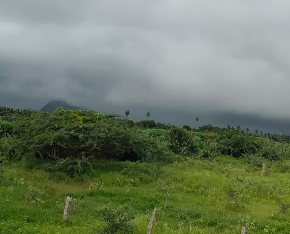 heavy-rainfall-alert