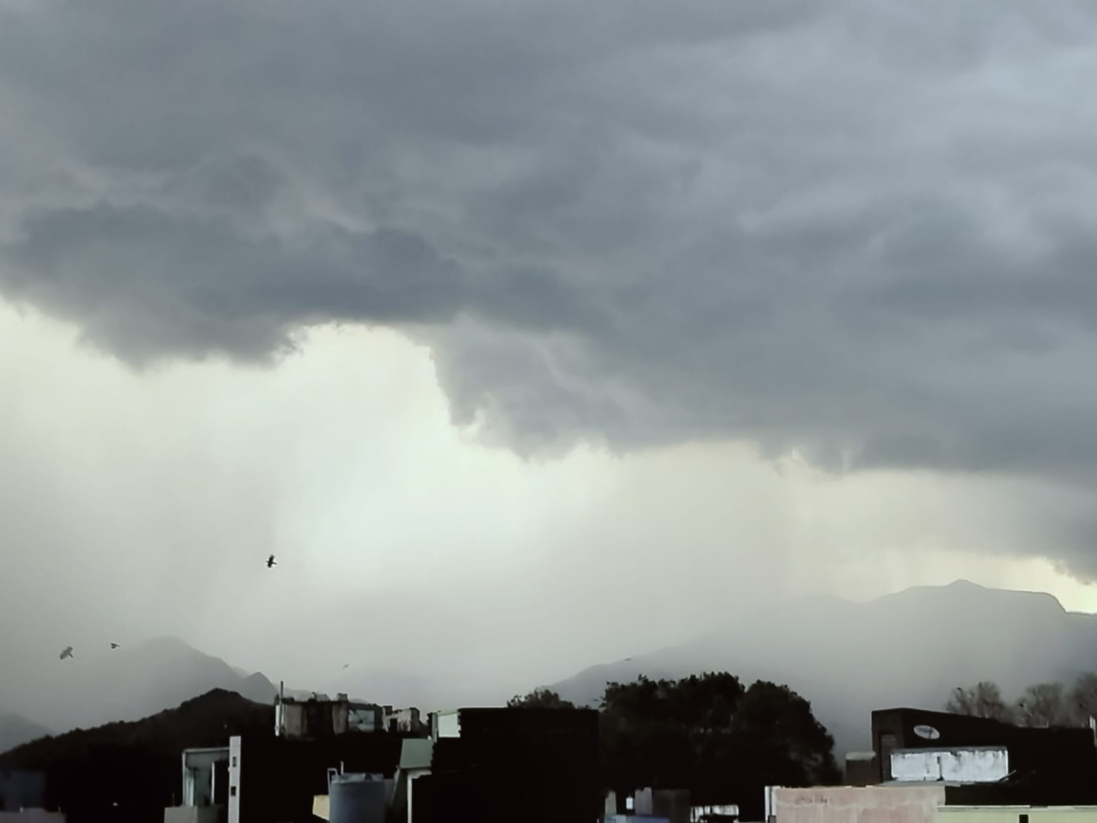heavy-rainfall-alert