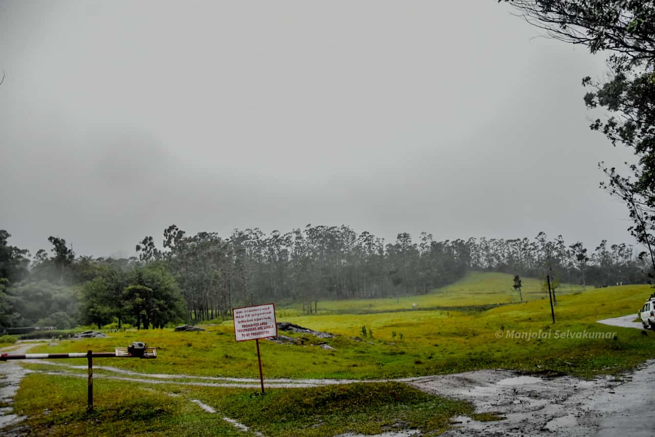 heavy-rainfall-alert