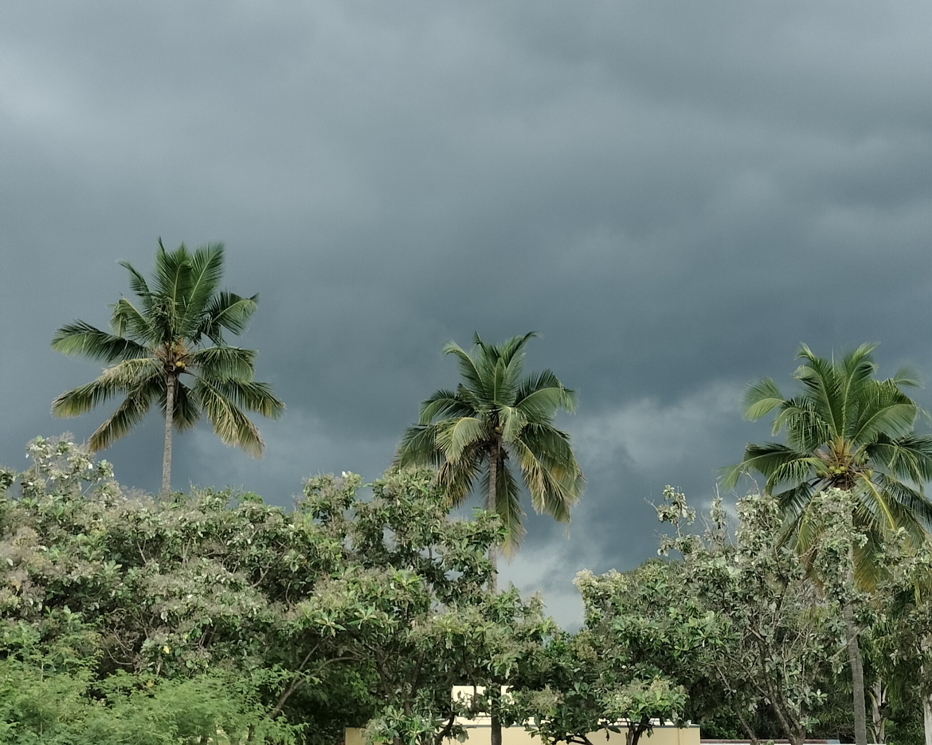 heavy-rainfall-alert