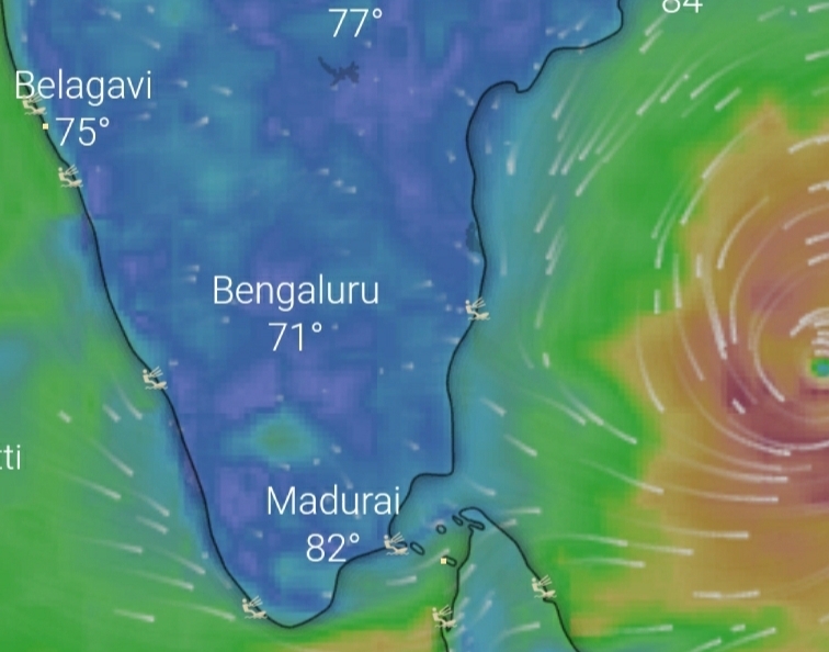 wind-warning